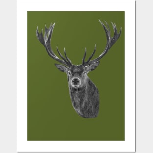 Red Deer Stag in B&W Posters and Art